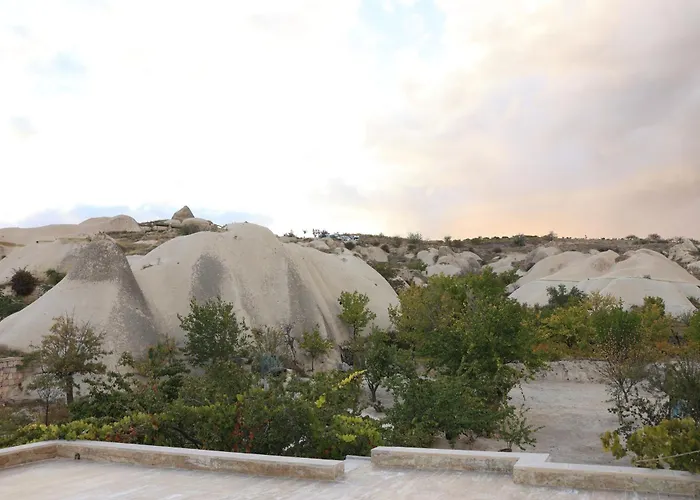 Проживание в семье Cardak House