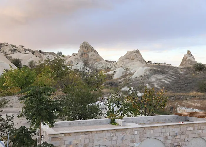 Проживание в семье Cardak House *