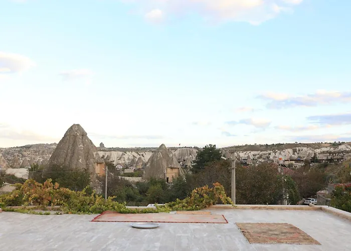 Проживание в семье Cardak House *